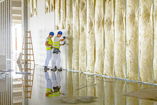 Insulation Inspection Services in Key Vista, FL